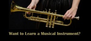 want-to-learn-a-musical-instrument-1